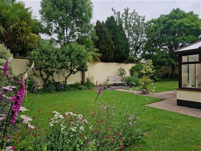 Picture 34